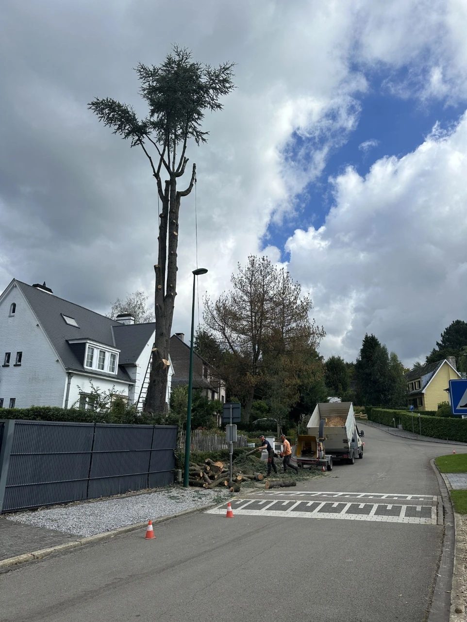 Abattage arbre proche habitation